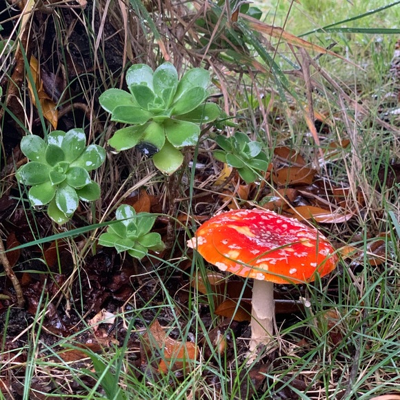 Meet well dressed dame Amanda 😘 💋💋 - Picture 5 of 9